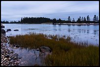 East Pond and  Little Moose Island at high tide. Acadia National Park ( color)