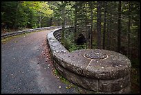 Carriage road over Hemlock Bridge. Acadia National Park ( color)