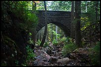 Hemlock Bridge over Maple Spring Brook. Acadia National Park ( color)