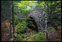 Hemlock Bridge. Acadia National Park ( color)