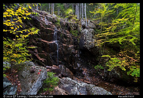 Hadlock Falls in autumn. Acadia National Park (color)