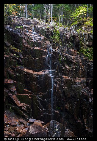 Hadlock Falls. Acadia National Park (color)