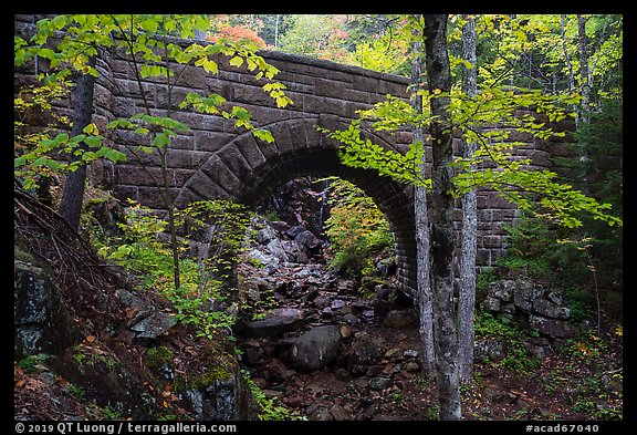 Waterfall Bridge framing Hadlock Falls. Acadia National Park (color)