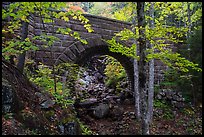 Waterfall Bridge framing Hadlock Falls. Acadia National Park ( color)