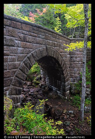 Waterfall Bridge. Acadia National Park (color)
