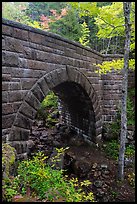 Waterfall Bridge. Acadia National Park ( color)