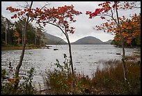 Eagle Lake on cloudy day. Acadia National Park ( color)