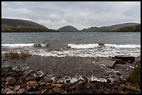 Waves on Eagle Lake. Acadia National Park ( color)