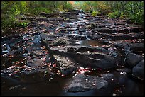 Duck Brook in autumn. Acadia National Park ( color)