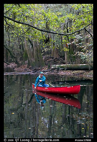 Canoing on Cedar Creek. Congaree National Park (color)