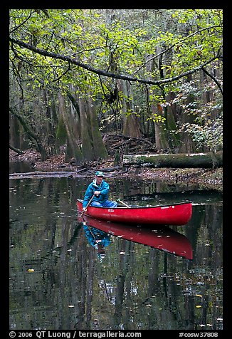 Canoing on Cedar Creek. Congaree National Park, South Carolina, USA.