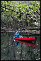 Canoing on Cedar Creek. Congaree National Park, South Carolina, USA.