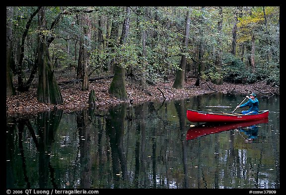 Man paddling a red canoe on Cedar Creek. Congaree National Park, South Carolina, USA.