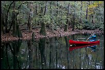 Man paddling a red canoe on Cedar Creek. Congaree National Park, South Carolina, USA.