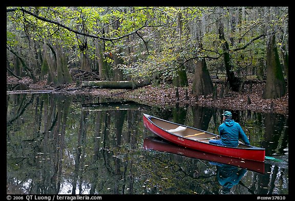 Canoist on Cedar Creek. Congaree National Park, South Carolina, USA.