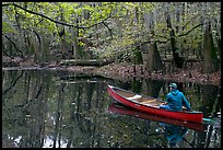 Canoist on Cedar Creek. Congaree National Park ( color)