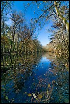 Wise Lake on a sunny day. Congaree National Park, South Carolina, USA.