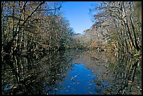 Wise Lake and reflections. Congaree National Park, South Carolina, USA. (color)