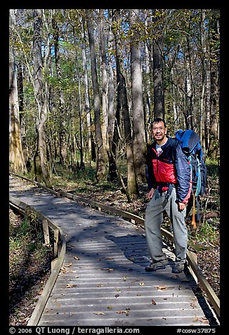 Hiker with backpack standing on boardwalk. Congaree National Park, South Carolina, USA.