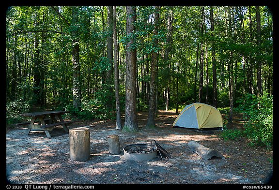 Longleaf Campground. Congaree National Park, South Carolina, USA.