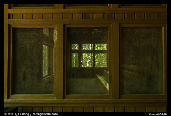 Harry Hampton Visitor Center window. Congaree National Park (color)