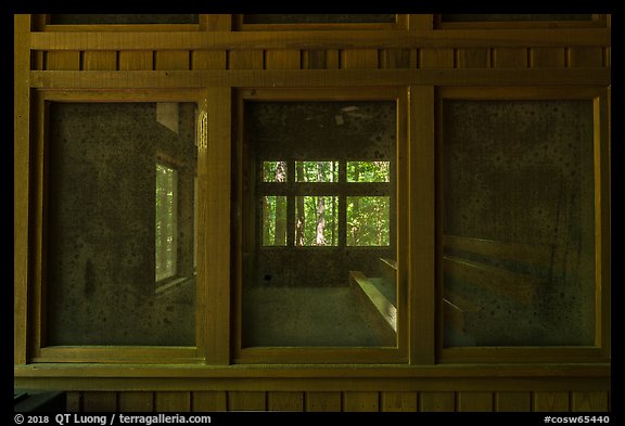 Harry Hampton Visitor Center window. Congaree National Park (color)