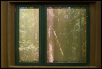 Harry Hampton Visitor Center window reflexion. Congaree National Park ( color)