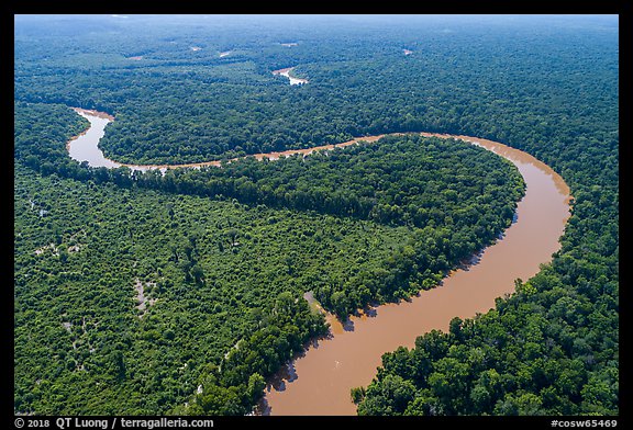 Aerial view of bends of the Congaree River. Congaree National Park (color)