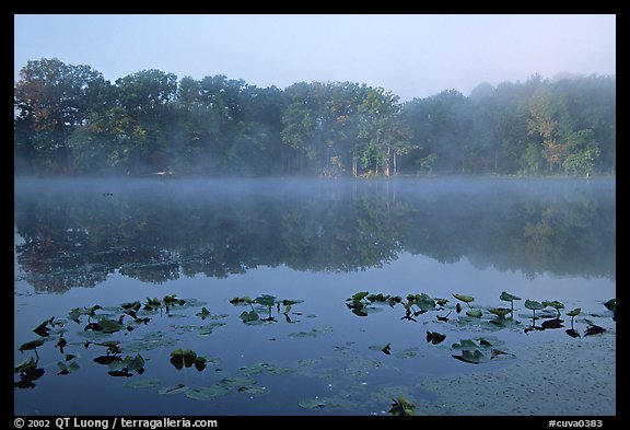 Mist on Kendall lake. Cuyahoga Valley National Park, Ohio, USA.