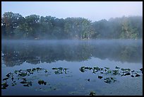 Mist on Kendall lake. Cuyahoga Valley National Park, Ohio, USA.