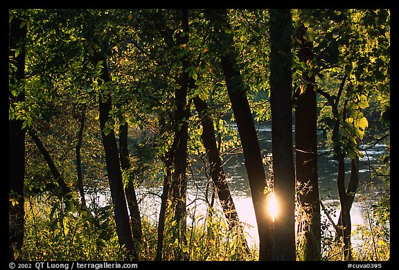 Sun reflected on a pond through trees. Cuyahoga Valley National Park, Ohio, USA.