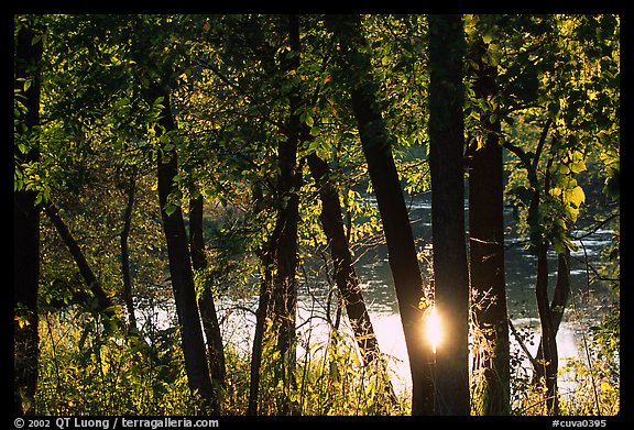 Sun reflected on a pond through trees, Virginia Kendall Park. Cuyahoga Valley National Park, Ohio, USA.