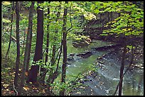 Trees and creek with Cascades near Bridalveil falls. Cuyahoga Valley National Park, Ohio, USA. (color)