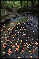 Fallen leaves and cascades near Bridalveil falls. Cuyahoga Valley National Park, Ohio, USA. (color)