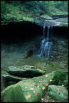 Blue Hen Falls in autumn. Cuyahoga Valley National Park, Ohio, USA.