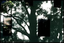 Tree shadows on wall. Cuyahoga Valley National Park, Ohio, USA.