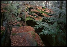 Sandstone depression at The Ledges. Cuyahoga Valley National Park ( color)