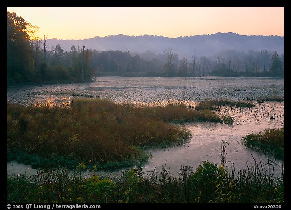 Grasses and Beaver Marsh at sunrise. Cuyahoga Valley National Park, Ohio, USA.