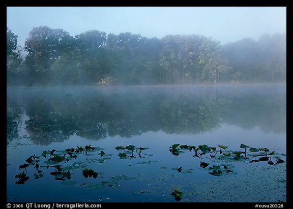 Mist on Kendall lake. Cuyahoga Valley National Park, Ohio, USA.