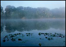 Mist on Kendall lake. Cuyahoga Valley National Park, Ohio, USA. (color)