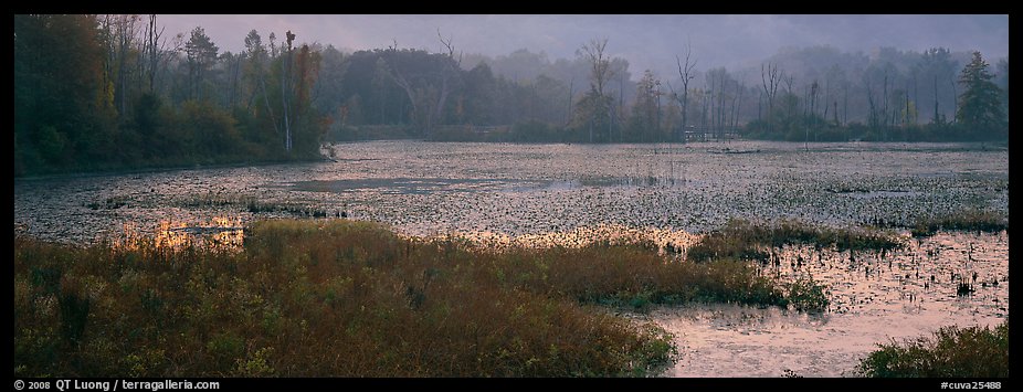 Marsh landscape at dawn. Cuyahoga Valley National Park (color)