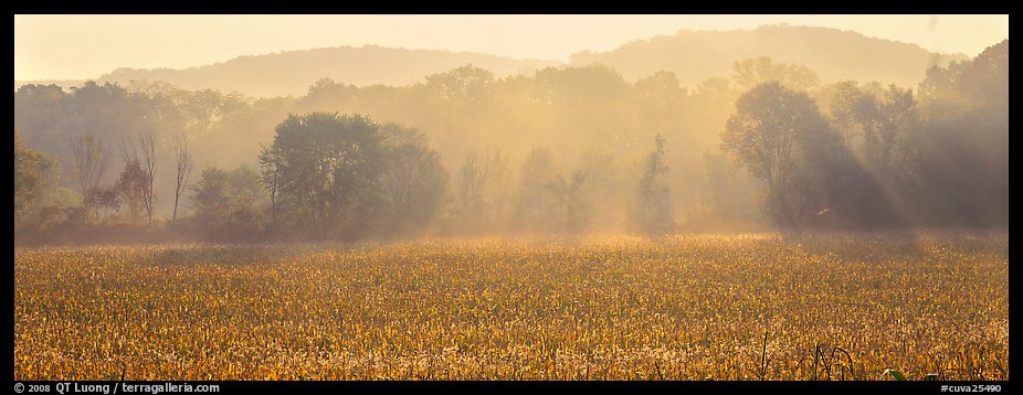 Sunrays in distant mist above field. Cuyahoga Valley National Park (color)