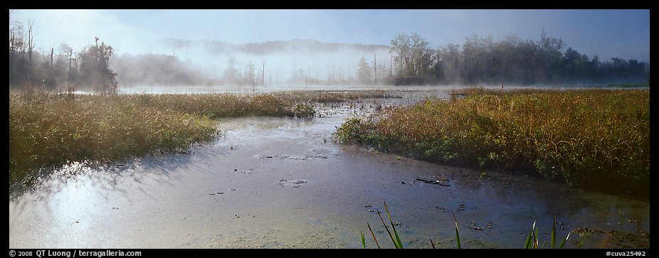 Misty marsh scenery, early morning. Cuyahoga Valley National Park (color)