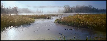 Misty marsh scenery, early morning. Cuyahoga Valley National Park (Panoramic color)