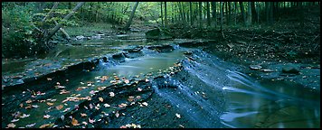 Autumn scene with stream cascading and fallen leaves. Cuyahoga Valley National Park (Panoramic color)