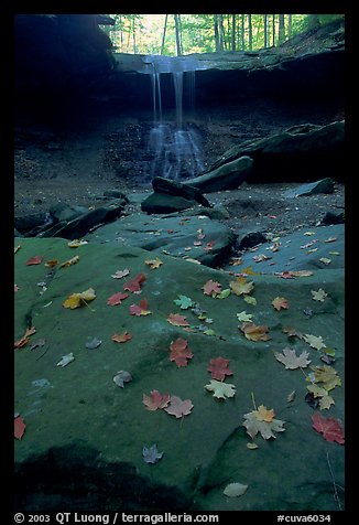 Fallen leaves on green slabs and Blue Hen Falls. Cuyahoga Valley National Park (color)