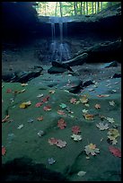 Fallen leaves on green slabs and Blue Hen Falls. Cuyahoga Valley National Park ( color)