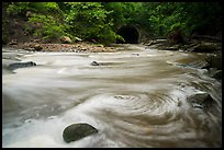 Eddies in Tinkers Creek above Viaduct Bridge, Bedford Reservation. Cuyahoga Valley National Park ( color)