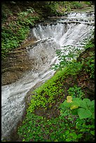 Bridal Veil Falls, high flow, Bedford Reservation. Cuyahoga Valley National Park ( color)