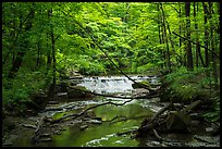 Deerlick Creek with cascade, Bedford Reservation. Cuyahoga Valley National Park ( color)